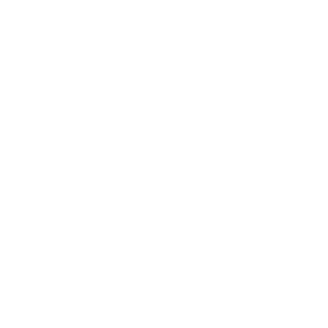 new_arrival_icon