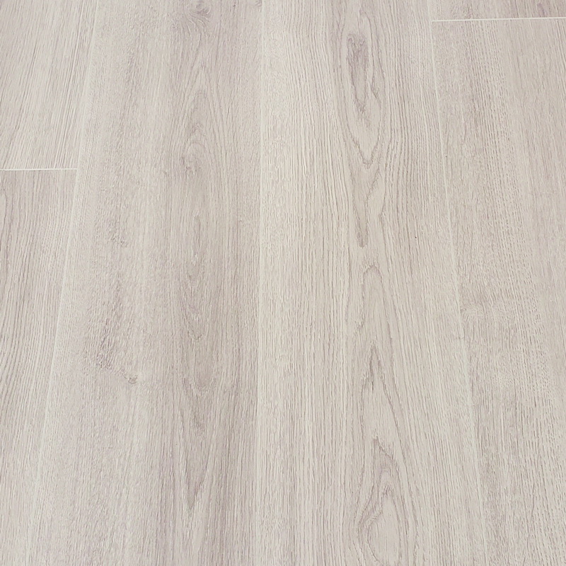  Inhaus  Oak Light Grey 10mm Laminate (72 hour water warranty)