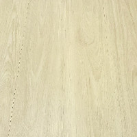 Vinyl 2mm Glue Down Natural Living 7 1/4" x 48" Island Sand 